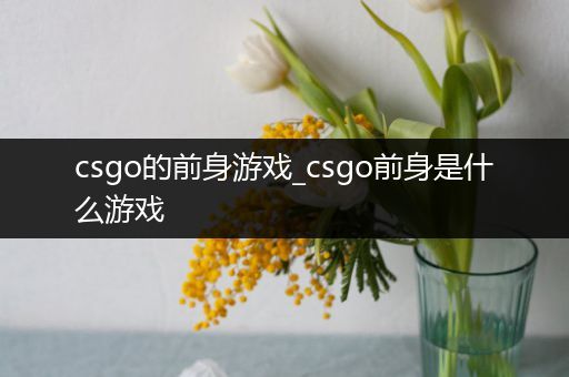 csgo的前身游戏_csgo前身是什么游戏