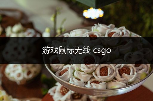 游戏鼠标无线 csgo