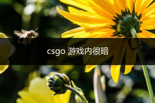csgo 游戏内很暗
