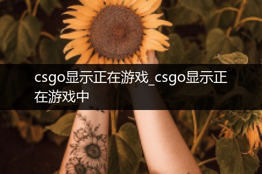 csgo显示正在游戏_csgo显示正在游戏中