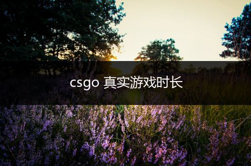 csgo 真实游戏时长