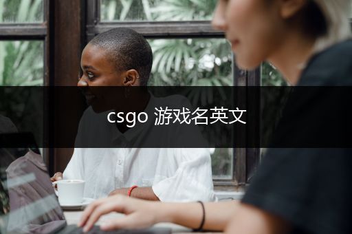 csgo 游戏名英文