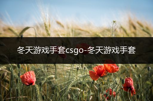 冬天游戏手套csgo-冬天游戏手套