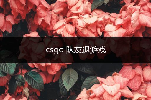 csgo 队友退游戏