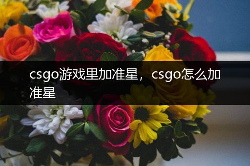 csgo游戏里加准星，csgo怎么加准星