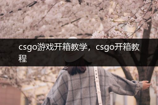 csgo游戏开箱教学，csgo开箱教程