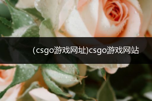 （csgo游戏网址)csgo游戏网站