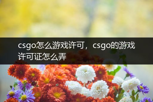 csgo怎么游戏许可，csgo的游戏许可证怎么弄