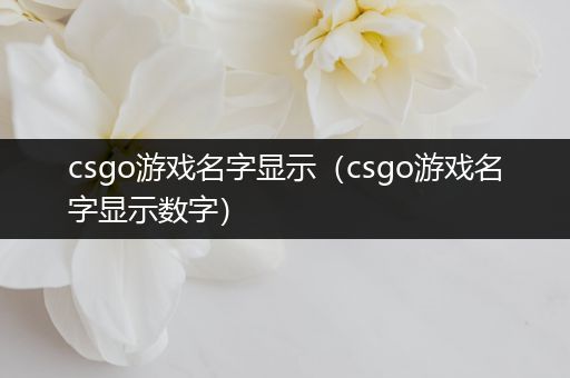 csgo游戏名字显示（csgo游戏名字显示数字）