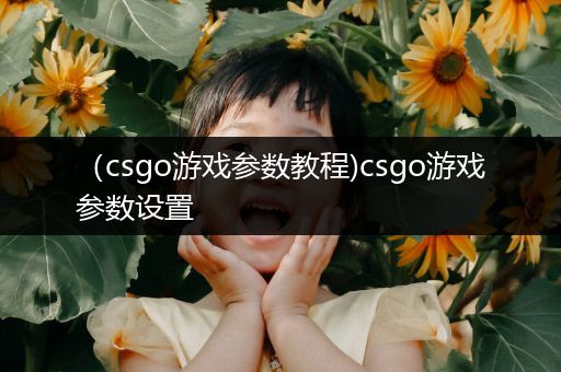 （csgo游戏参数教程)csgo游戏参数设置