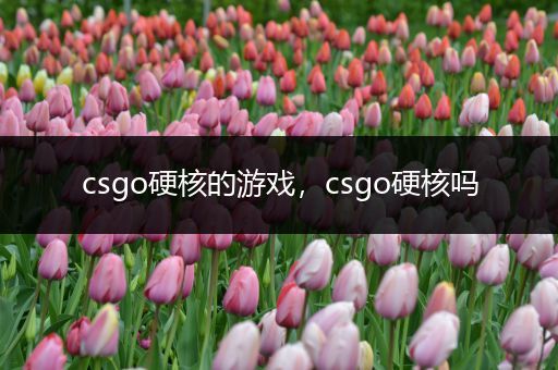 csgo硬核的游戏，csgo硬核吗