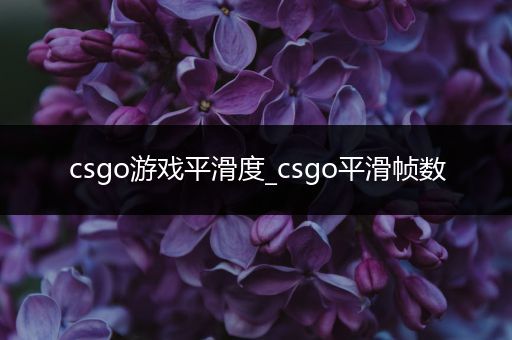 csgo游戏平滑度_csgo平滑帧数
