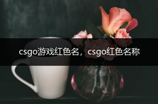 csgo游戏红色名，csgo红色名称