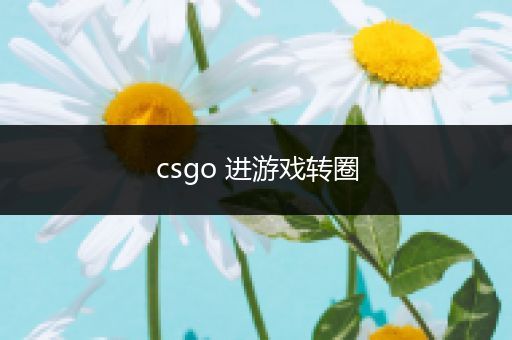 csgo 进游戏转圈