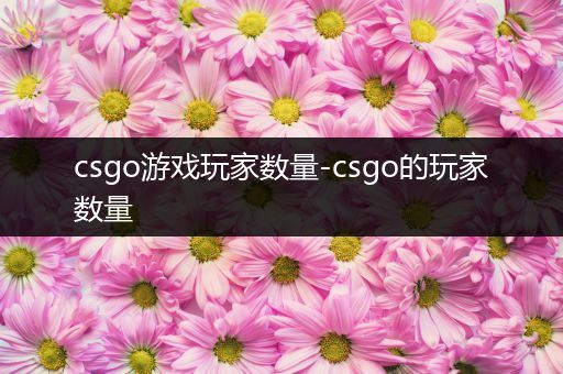 csgo游戏玩家数量-csgo的玩家数量