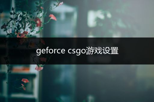 geforce csgo游戏设置
