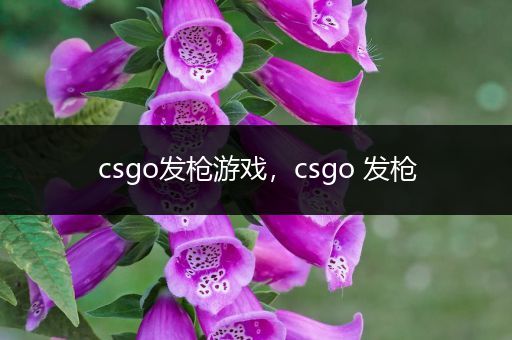 csgo发枪游戏，csgo 发枪
