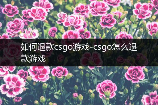 如何退款csgo游戏-csgo怎么退款游戏