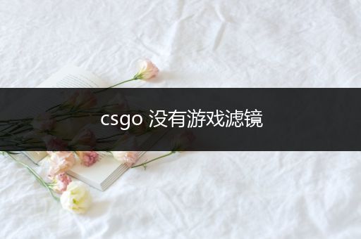 csgo 没有游戏滤镜