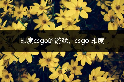 印度csgo的游戏，csgo 印度