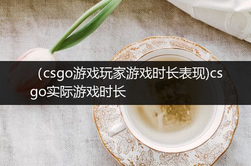 （csgo游戏玩家游戏时长表现)csgo实际游戏时长