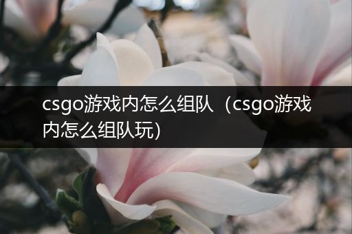 csgo游戏内怎么组队（csgo游戏内怎么组队玩）