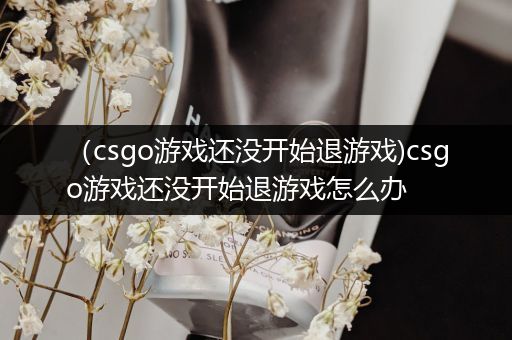（csgo游戏还没开始退游戏)csgo游戏还没开始退游戏怎么办