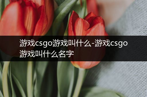 游戏csgo游戏叫什么-游戏csgo游戏叫什么名字