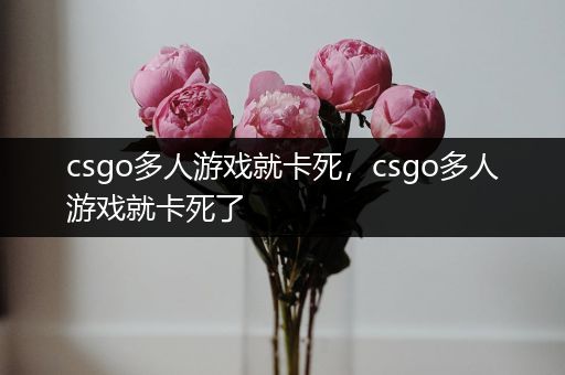 csgo多人游戏就卡死，csgo多人游戏就卡死了
