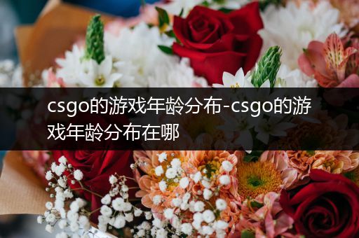 csgo的游戏年龄分布-csgo的游戏年龄分布在哪