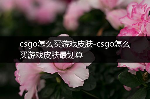 csgo怎么买游戏皮肤-csgo怎么买游戏皮肤最划算