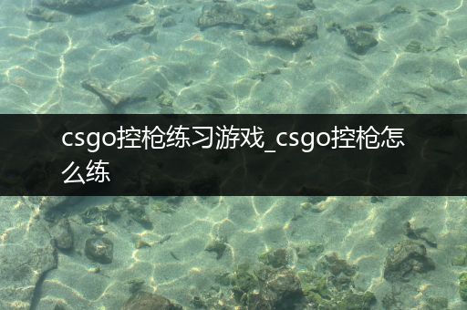 csgo控枪练习游戏_csgo控枪怎么练