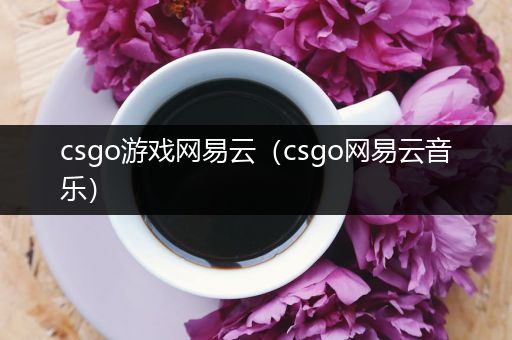 csgo游戏网易云（csgo网易云音乐）