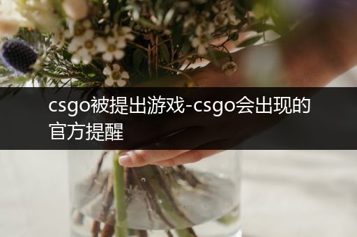 csgo被提出游戏-csgo会出现的官方提醒