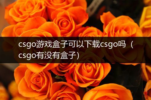 csgo游戏盒子可以下载csgo吗（csgo有没有盒子）