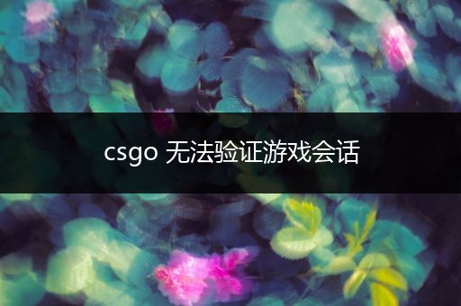 csgo 无法验证游戏会话