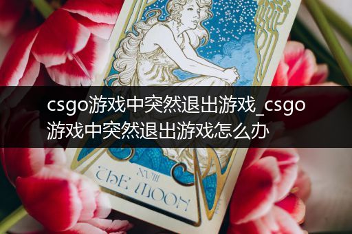 csgo游戏中突然退出游戏_csgo游戏中突然退出游戏怎么办