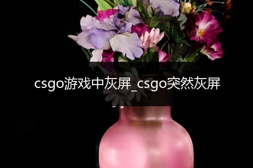 csgo游戏中灰屏_csgo突然灰屏