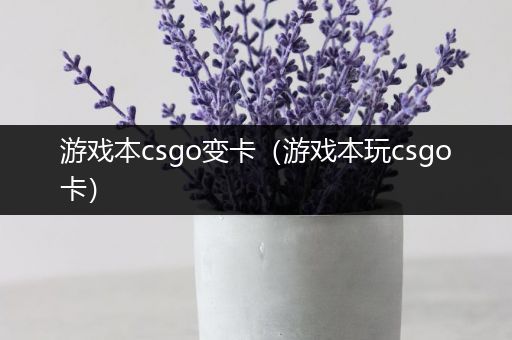 游戏本csgo变卡（游戏本玩csgo卡）