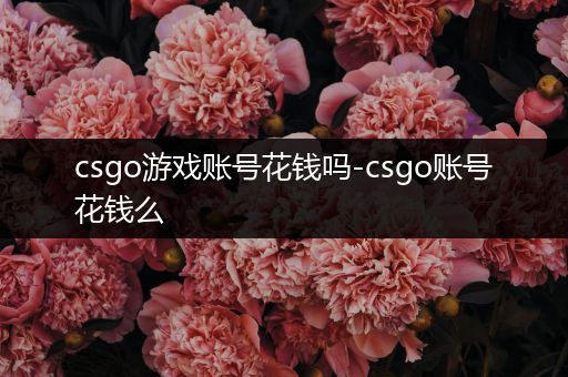 csgo游戏账号花钱吗-csgo账号花钱么