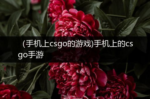 （手机上csgo的游戏)手机上的csgo手游