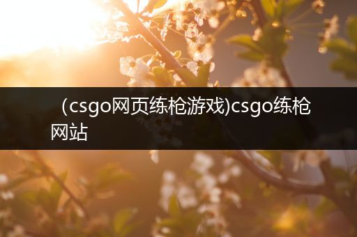 （csgo网页练枪游戏)csgo练枪网站