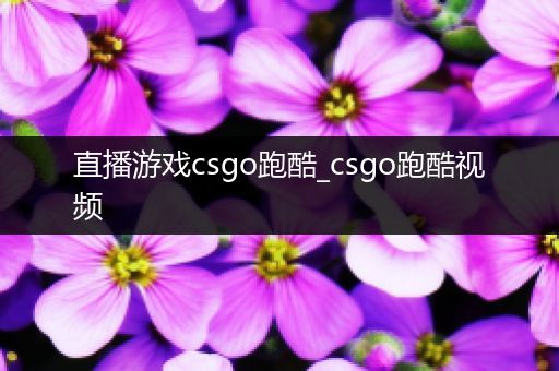 直播游戏csgo跑酷_csgo跑酷视频