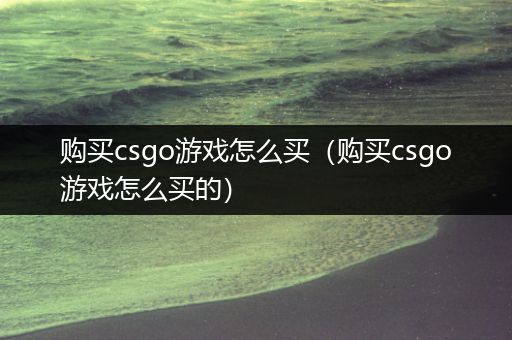 购买csgo游戏怎么买（购买csgo游戏怎么买的）