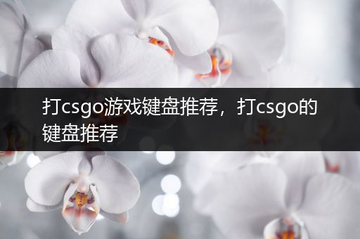 打csgo游戏键盘推荐，打csgo的键盘推荐