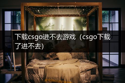 下载csgo进不去游戏（csgo下载了进不去）