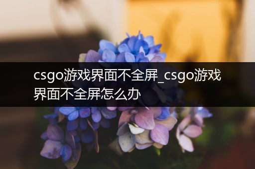 csgo游戏界面不全屏_csgo游戏界面不全屏怎么办