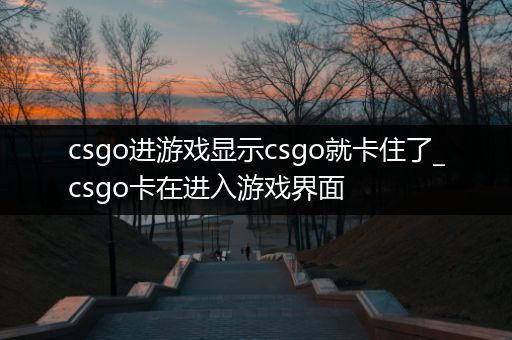 csgo进游戏显示csgo就卡住了_csgo卡在进入游戏界面