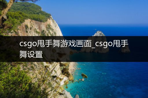 csgo甩手舞游戏画面_csgo甩手舞设置