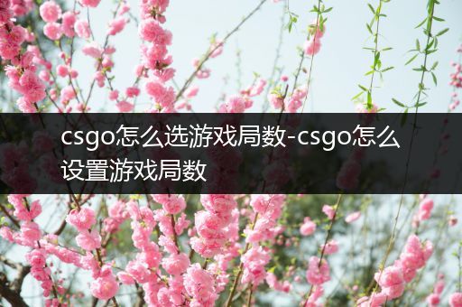 csgo怎么选游戏局数-csgo怎么设置游戏局数